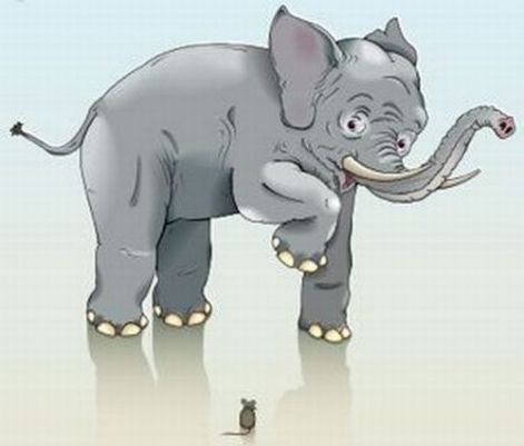 elefanteger1.jpg